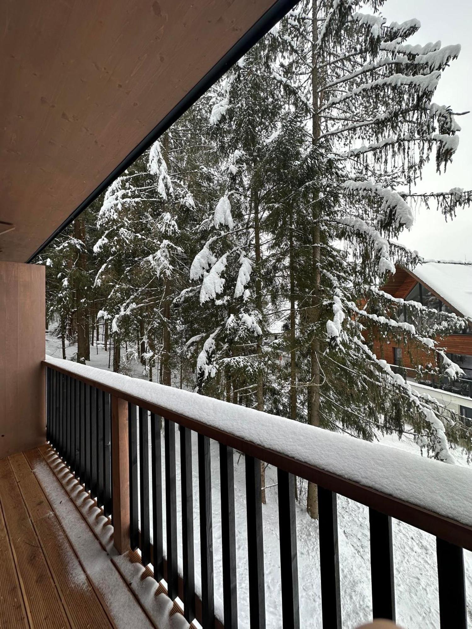 Apartman Pod Smrekom Demaenovska Dolina Luaran gambar
